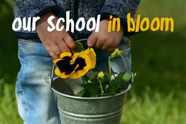 our school in bloom